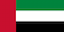 UAE flag